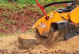 Best Storm Damage Tree Cleanup  in Quail Ridge, FL